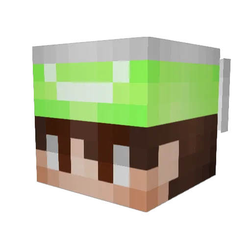Derlin_Lee Minecraft avatar head, 3D render