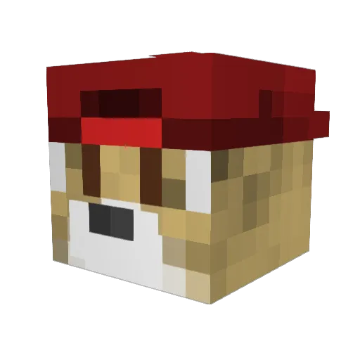 DeroHD Minecraft avatar head, 3D render