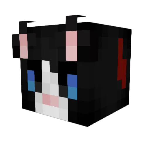 Derogh1 Minecraft avatar head, 3D render