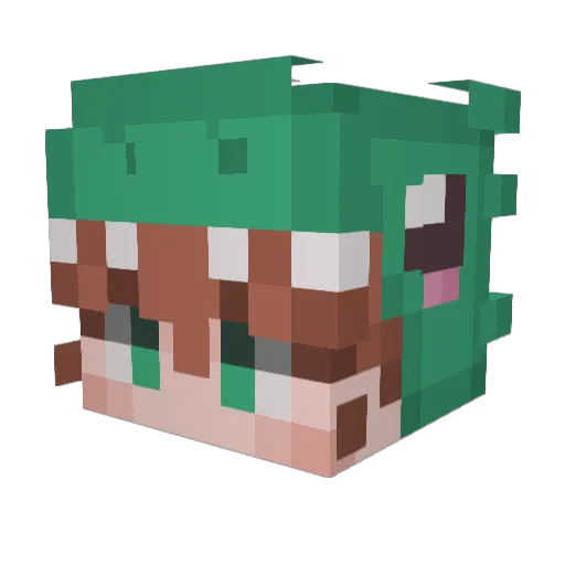 DerpCheese14 Minecraft avatar head, 3D render