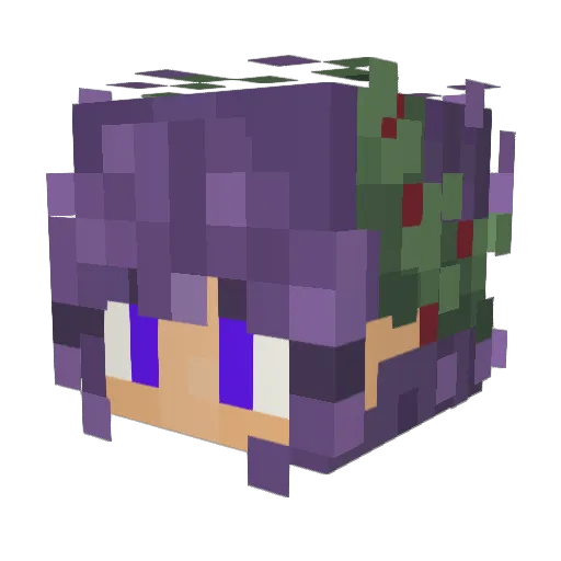 DerpLordII Minecraft avatar head, 3D render