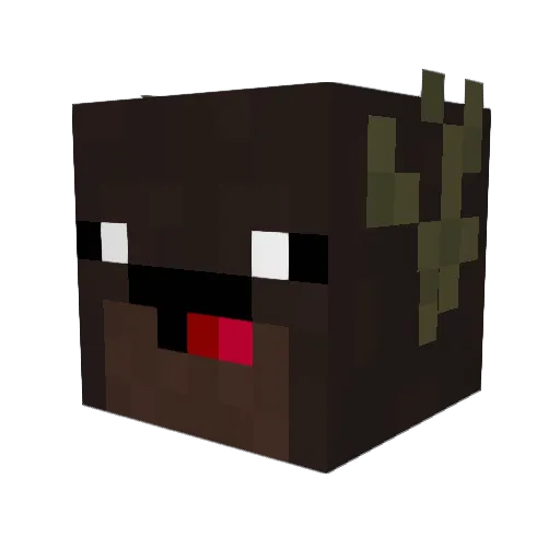 DerpMooseFish Minecraft avatar head, 3D render