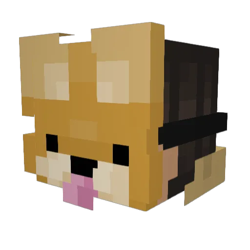 DerpSwagCandy Minecraft avatar head, 3D render