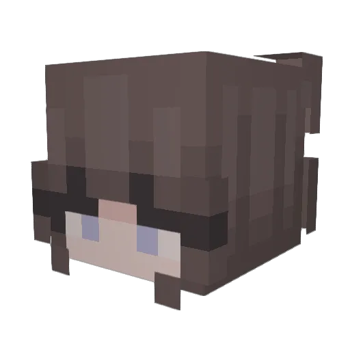 Derp_Bubble Minecraft avatar head, 3D render