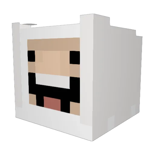 Derp_Dude3 Minecraft avatar head, 3D render