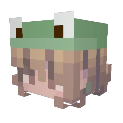 Derp_Frog Minecraft avatar head, 3D render