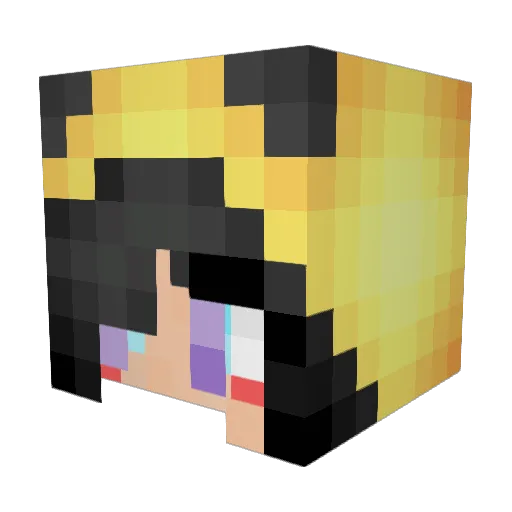 Derp_Sparks Minecraft avatar head, 3D render