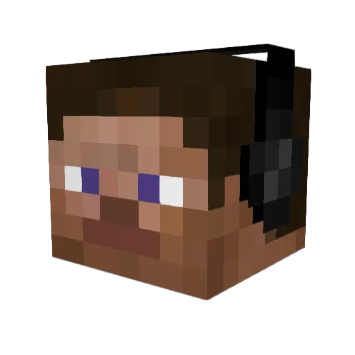 Derpalypse Minecraft avatar head, 3D render