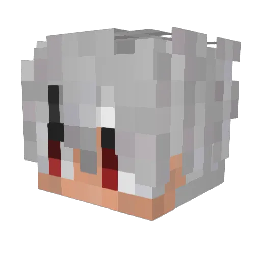 Derpato Minecraft avatar head, 3D render