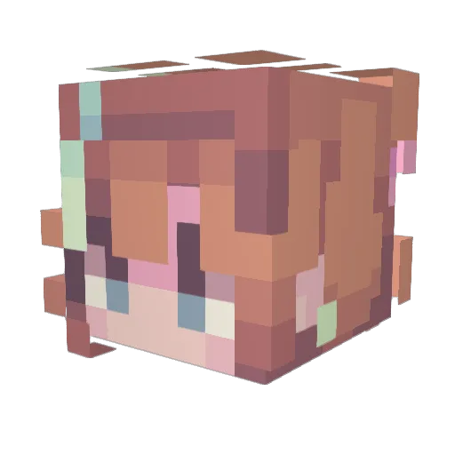 Derped_Soul Minecraft avatar head, 3D render