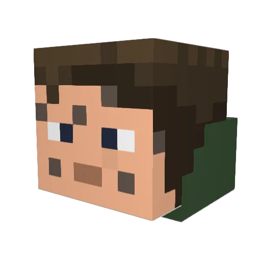 Minecraft-Avatar von Derper0528: Kopf als 3D-Render