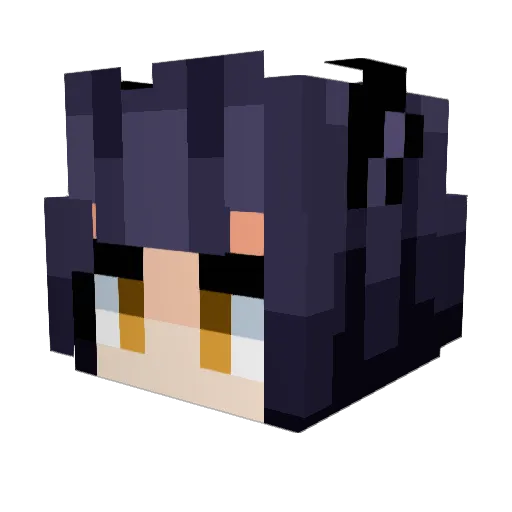 Derpfi5h Minecraft avatar head, 3D render