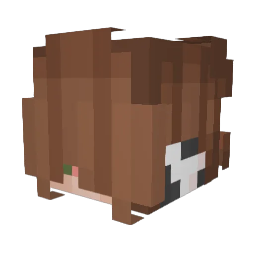 DerpiXDerp Minecraft avatar head, 3D render