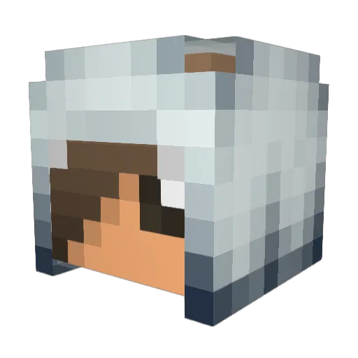 Derpina887 Minecraft avatar head, 3D render