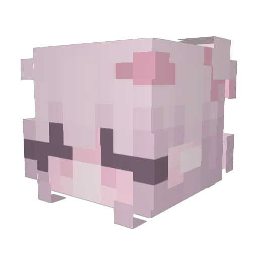 DerpixionFan Minecraft avatar head, 3D render
