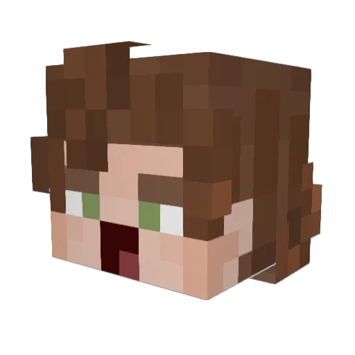 Derppig4 Minecraft avatar head, 3D render