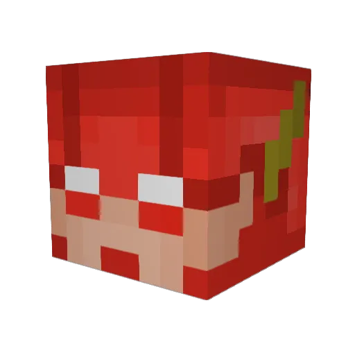 DerpsPet Minecraft avatar head, 3D render