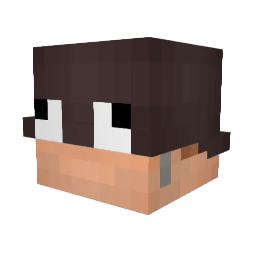 Derpslate Minecraft avatar head, 3D render