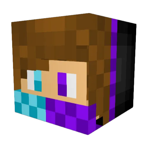 Derpy2263 Minecraft avatar head, 3D render
