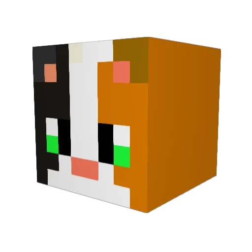 DerpyCalico Minecraft avatar head, 3D render