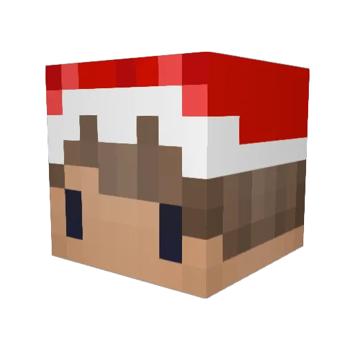 DerpyDarkPanda Minecraft avatar head, 3D render