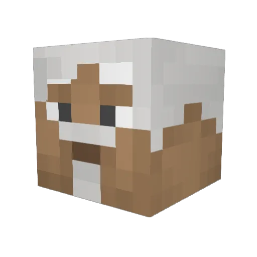DerpyDolphins Minecraft avatar head, 3D render