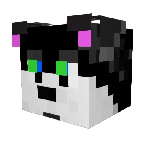DerpyHuskie Minecraft avatar head, 3D render