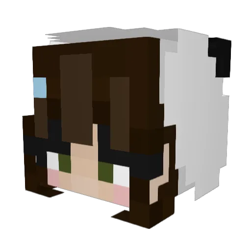 DerpyPanda329 Minecraft avatar head, 3D render