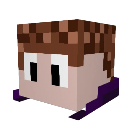 DerpyPineapplee Minecraft avatar head, 3D render