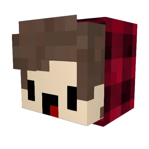 DerpyQookie Minecraft avatar head, 3D render