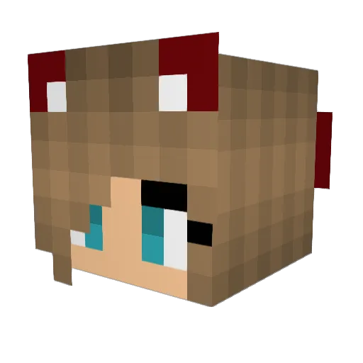 DerpyRainbow100 Minecraft avatar head, 3D render