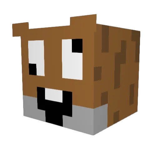 DerpySquirrel Minecraft avatar head, 3D render