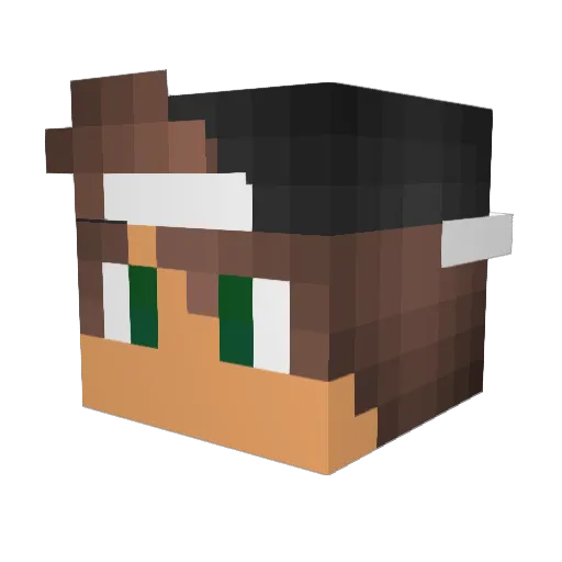 DerpyTaci Minecraft avatar head, 3D render