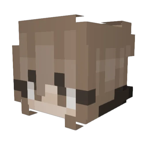 DerpyTourtle Minecraft avatar head, 3D render