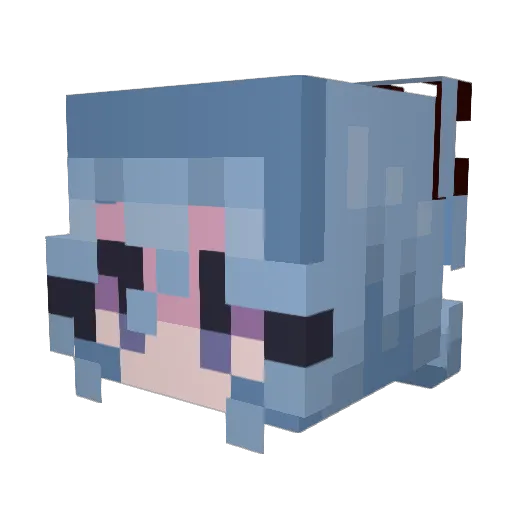 DerpyTurtle1000 Minecraft avatar head, 3D render