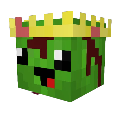 DerpyTurtle2013 Minecraft avatar head, 3D render