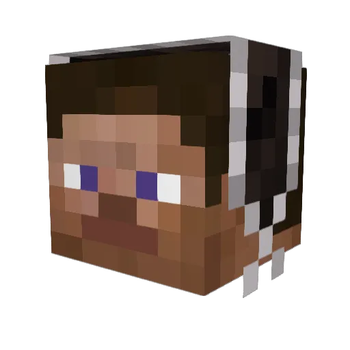 DerpyTurtles Minecraft avatar head, 3D render