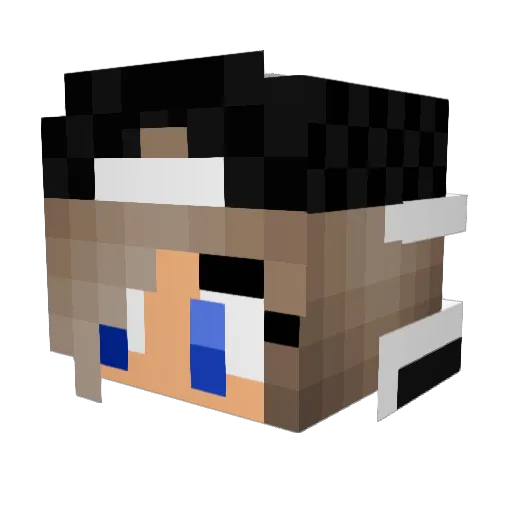 DerpyWaffle16 Minecraft avatar head, 3D render