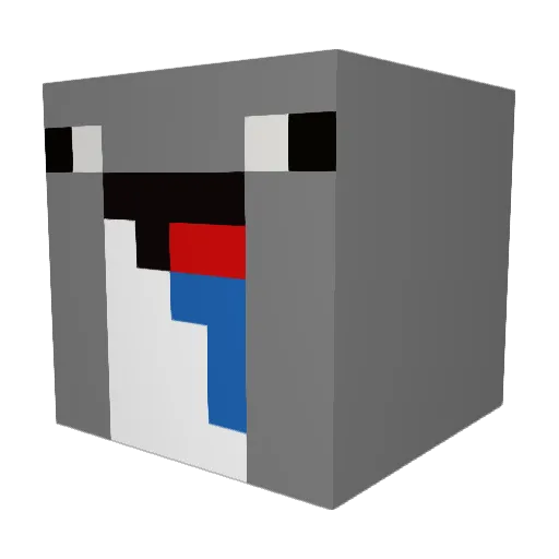 DerpyWhale123 Minecraft avatar head, 3D render