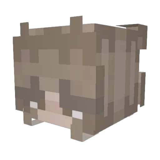 Derpydolphin55 Minecraft avatar head, 3D render