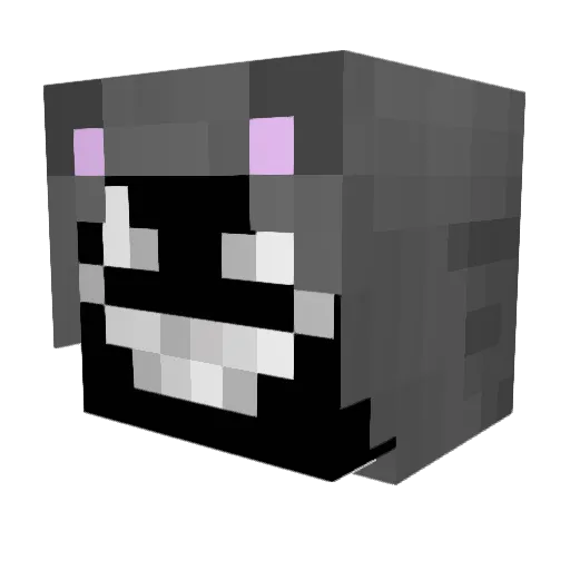 Derpygamer102 Minecraft avatar head, 3D render