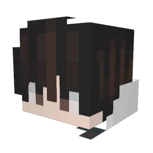 Derpyried Minecraft avatar head, 3D render