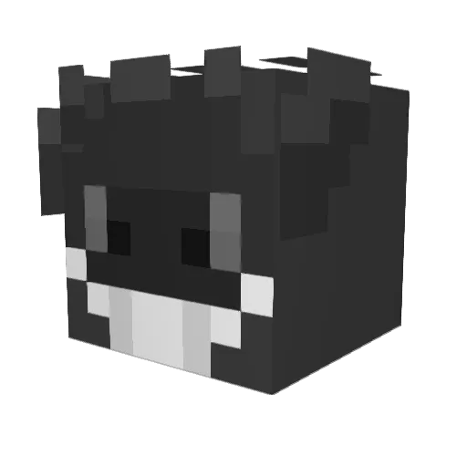 Derra123 Minecraft avatar head, 3D render