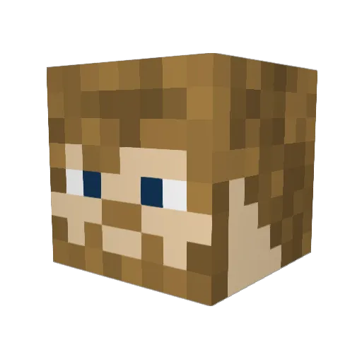 DerrickDesro Minecraft avatar head, 3D render