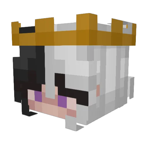 Derteufel057 Minecraft avatar head, 3D render