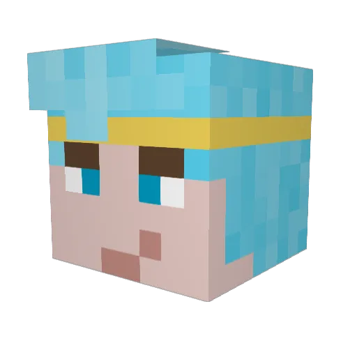 Dertexwetneup4 Minecraft avatar head, 3D render