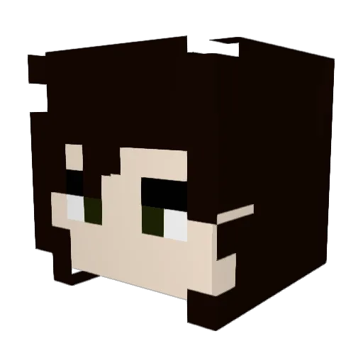 Derti85 Minecraft avatar head, 3D render
