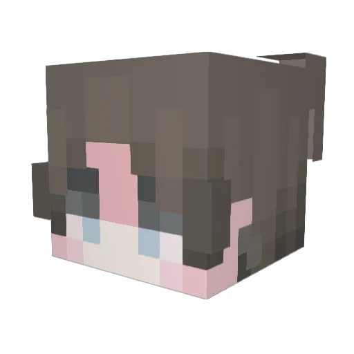 Dertzaner Minecraft avatar head, 3D render