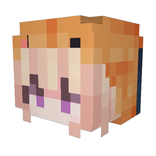 Dervis2 Minecraft avatar head, 3D render