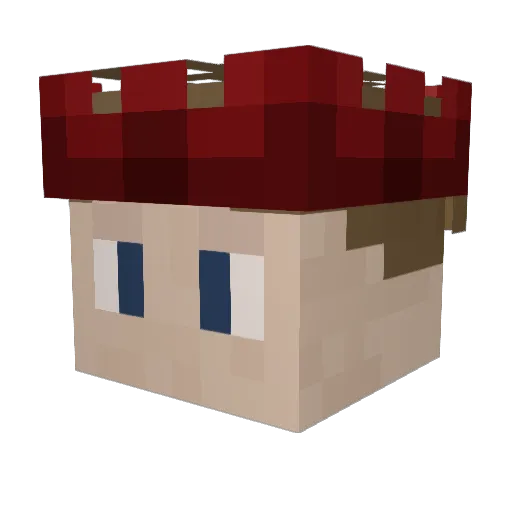 DerwahreFabi Minecraft avatar head, 3D render